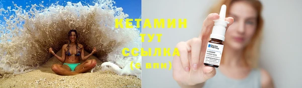 сатива Баксан
