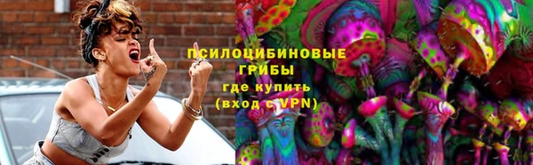 стафф Аркадак