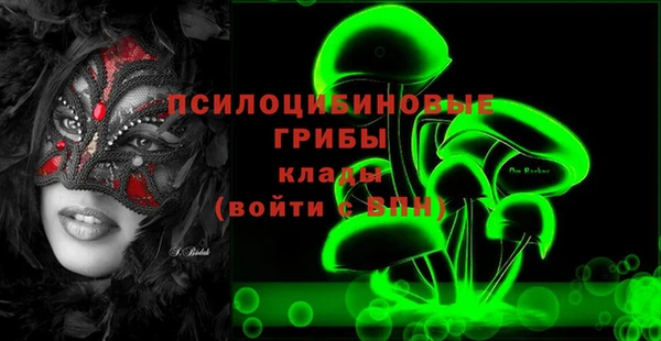 сатива Баксан
