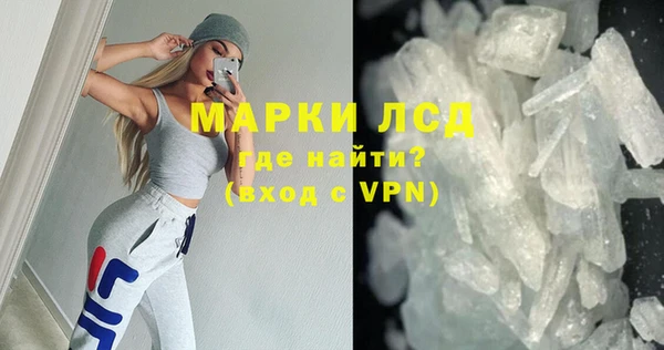 индика Арсеньев