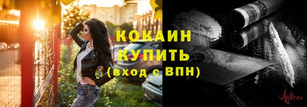 сатива Баксан