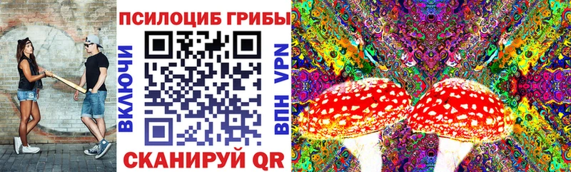 Псилоцибиновые грибы GOLDEN TEACHER Ленск