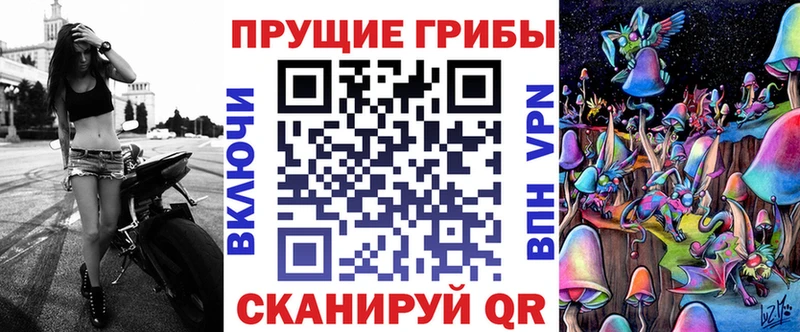 Галлюциногенные грибы Psilocybe  где можно купить   Ленск 